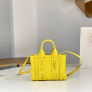 Chloe bag