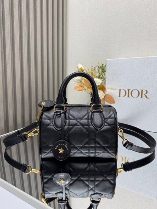 DIOR - Image 2