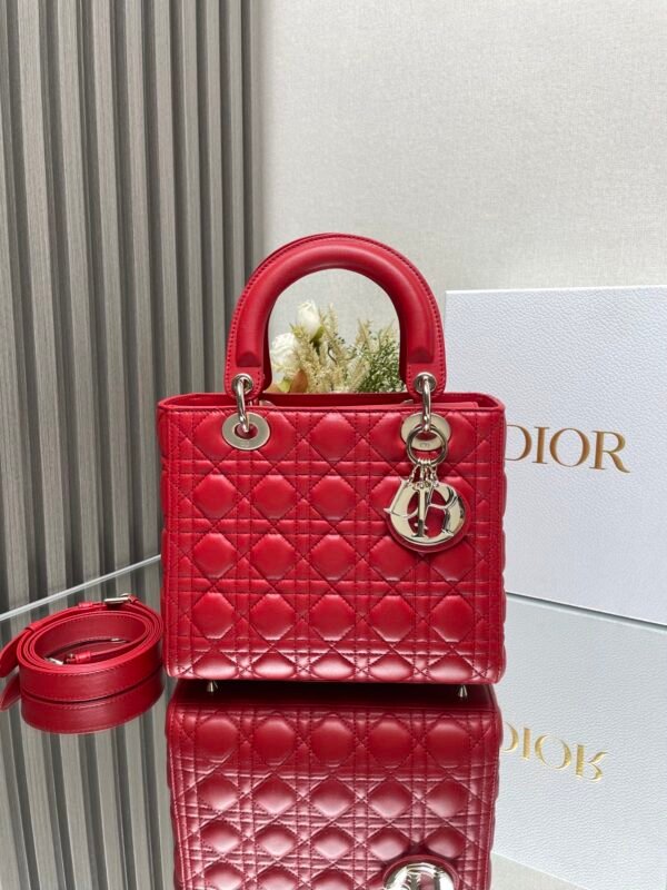 DIOR - Image 2