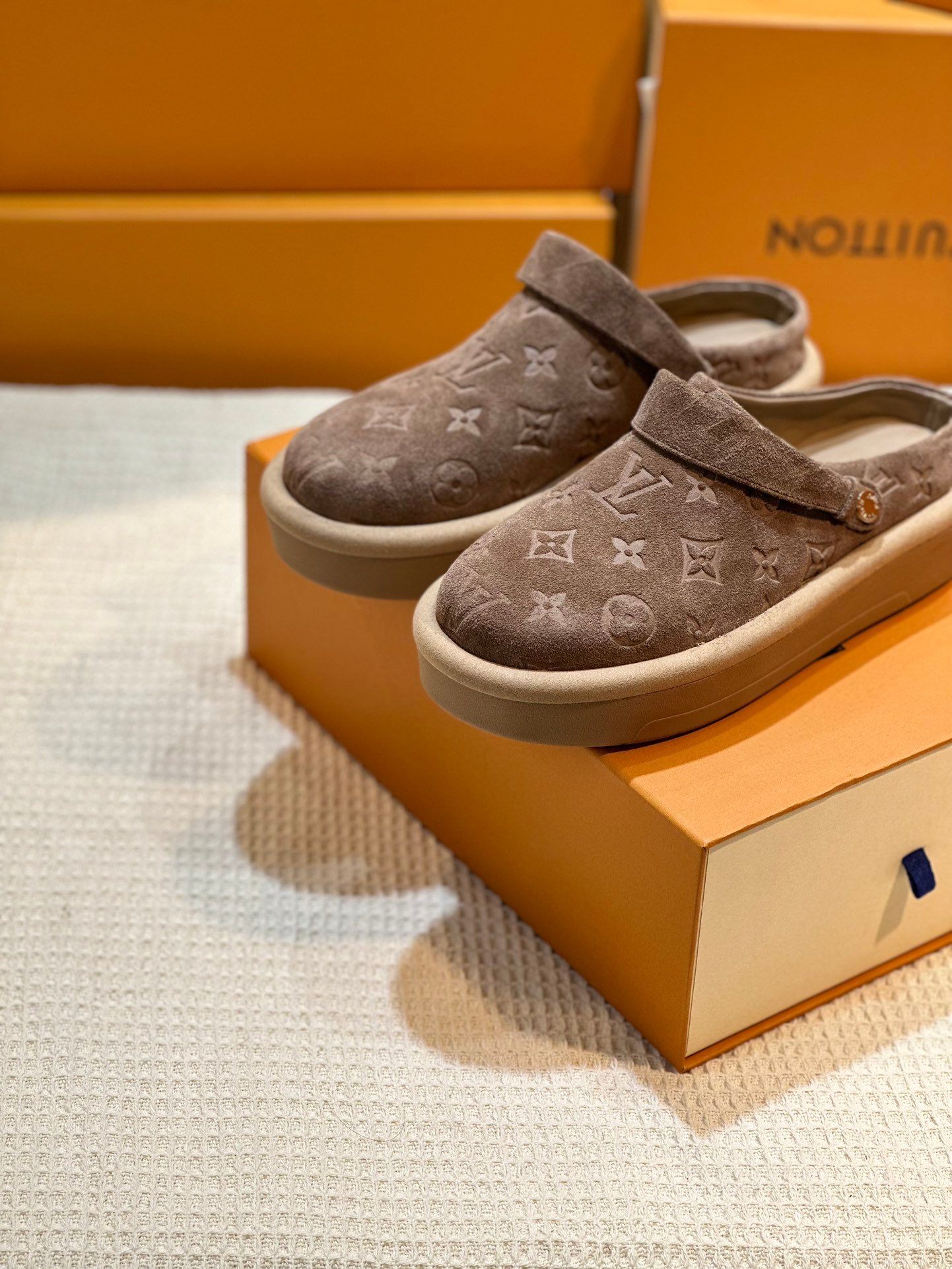 LV women - Image 4