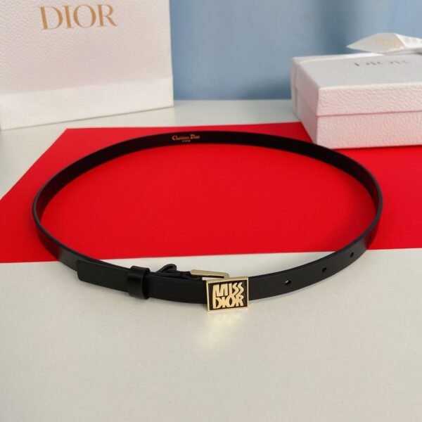 DIOR BELT