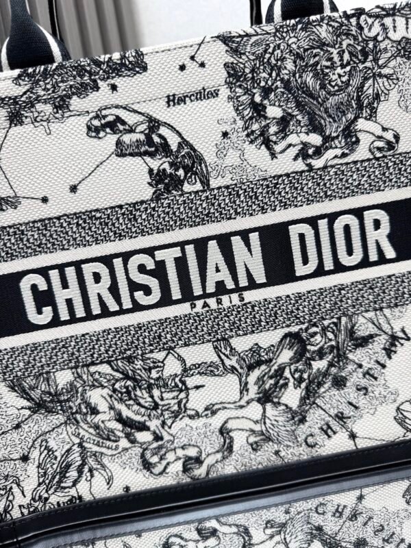 DIOR - Image 3