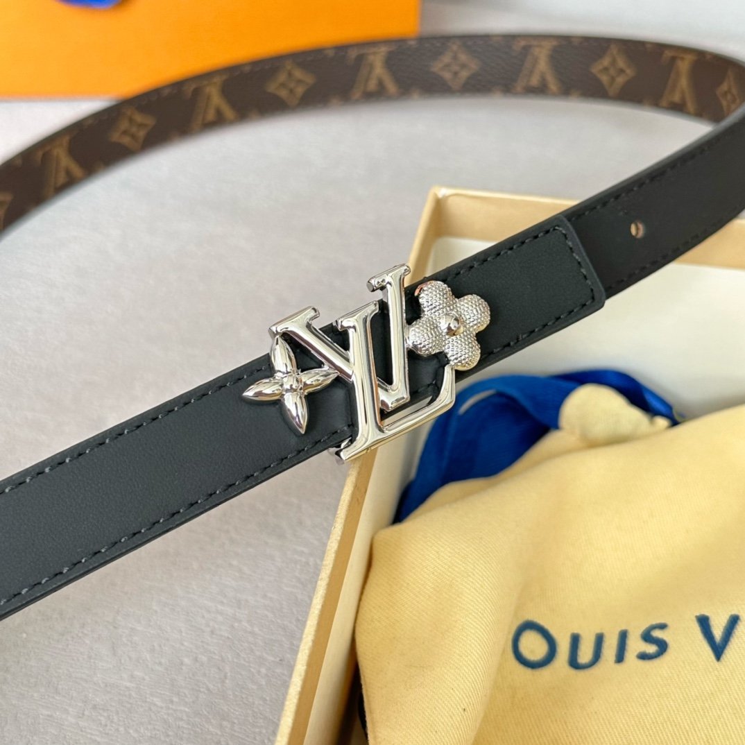 LV Belt - Image 3