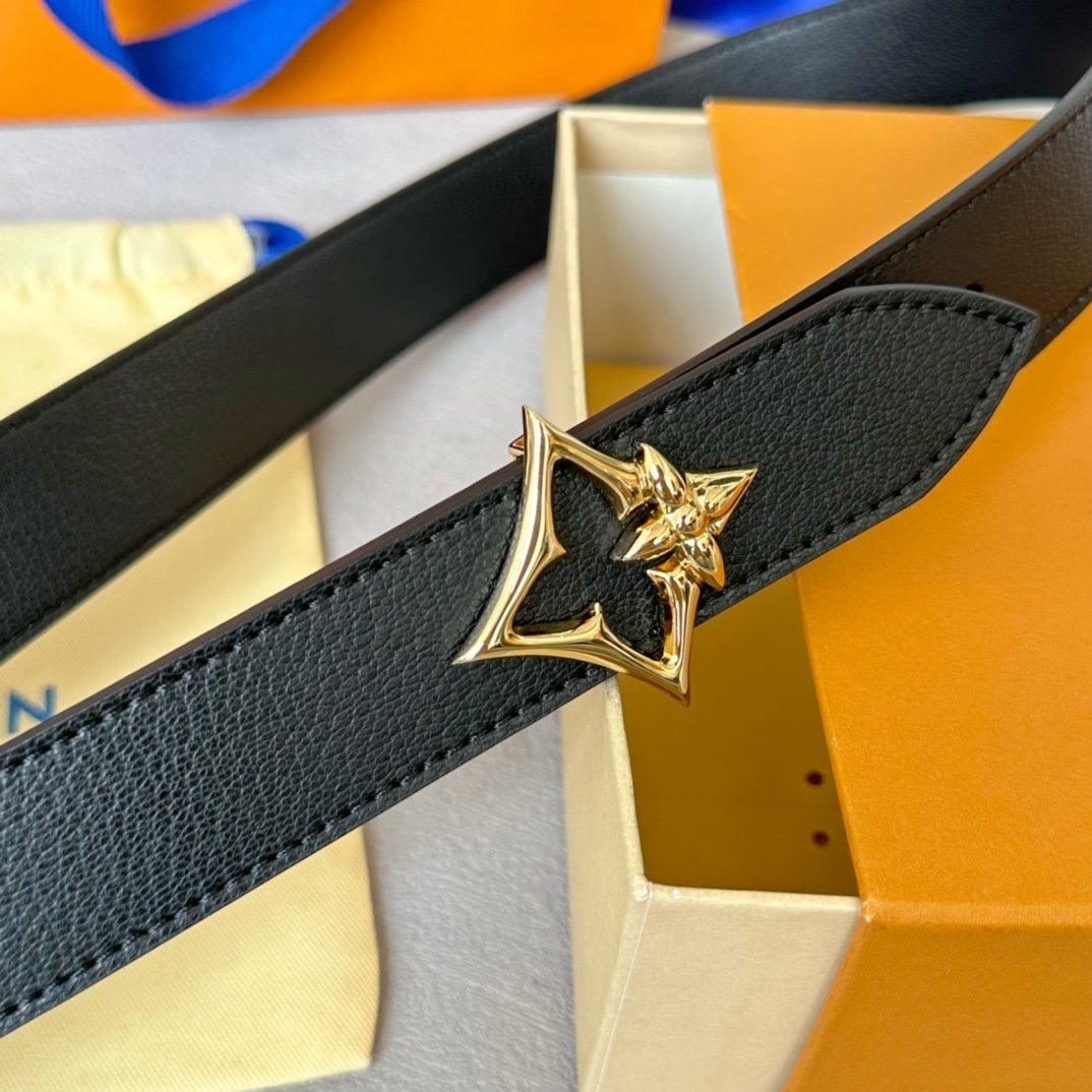 LV Belt - Image 3