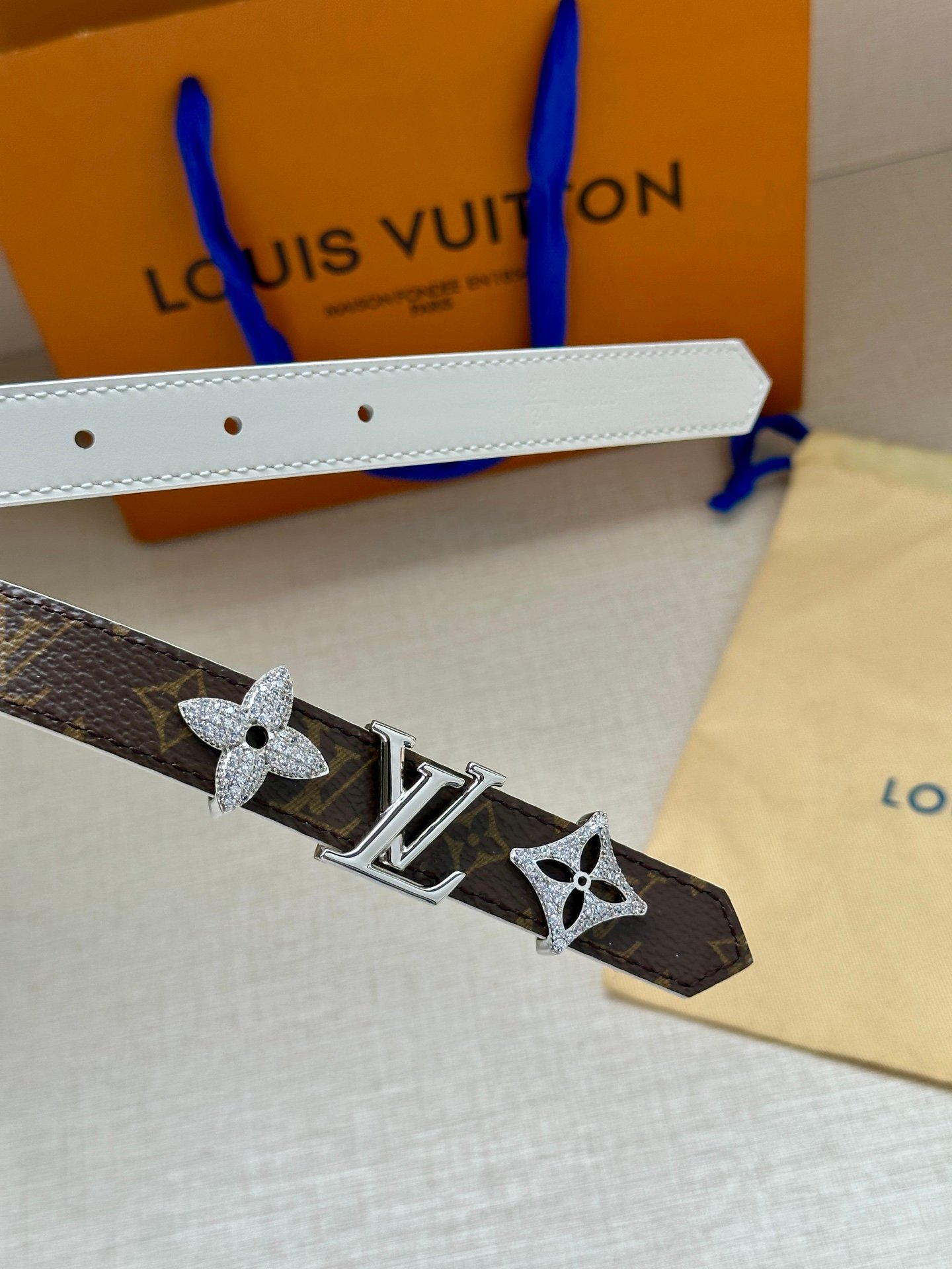 LV Belt - Image 3