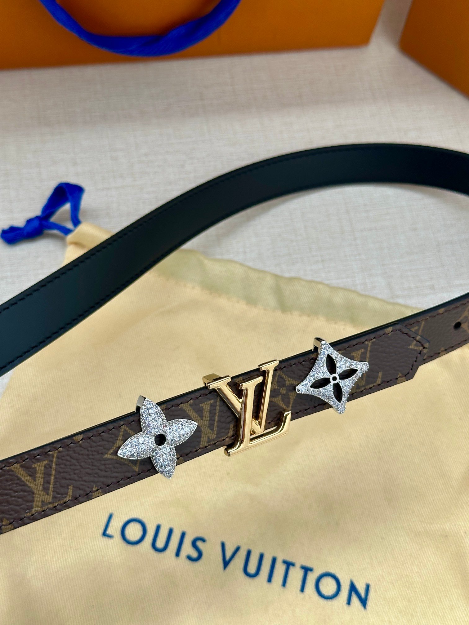 LV Belt - Image 3