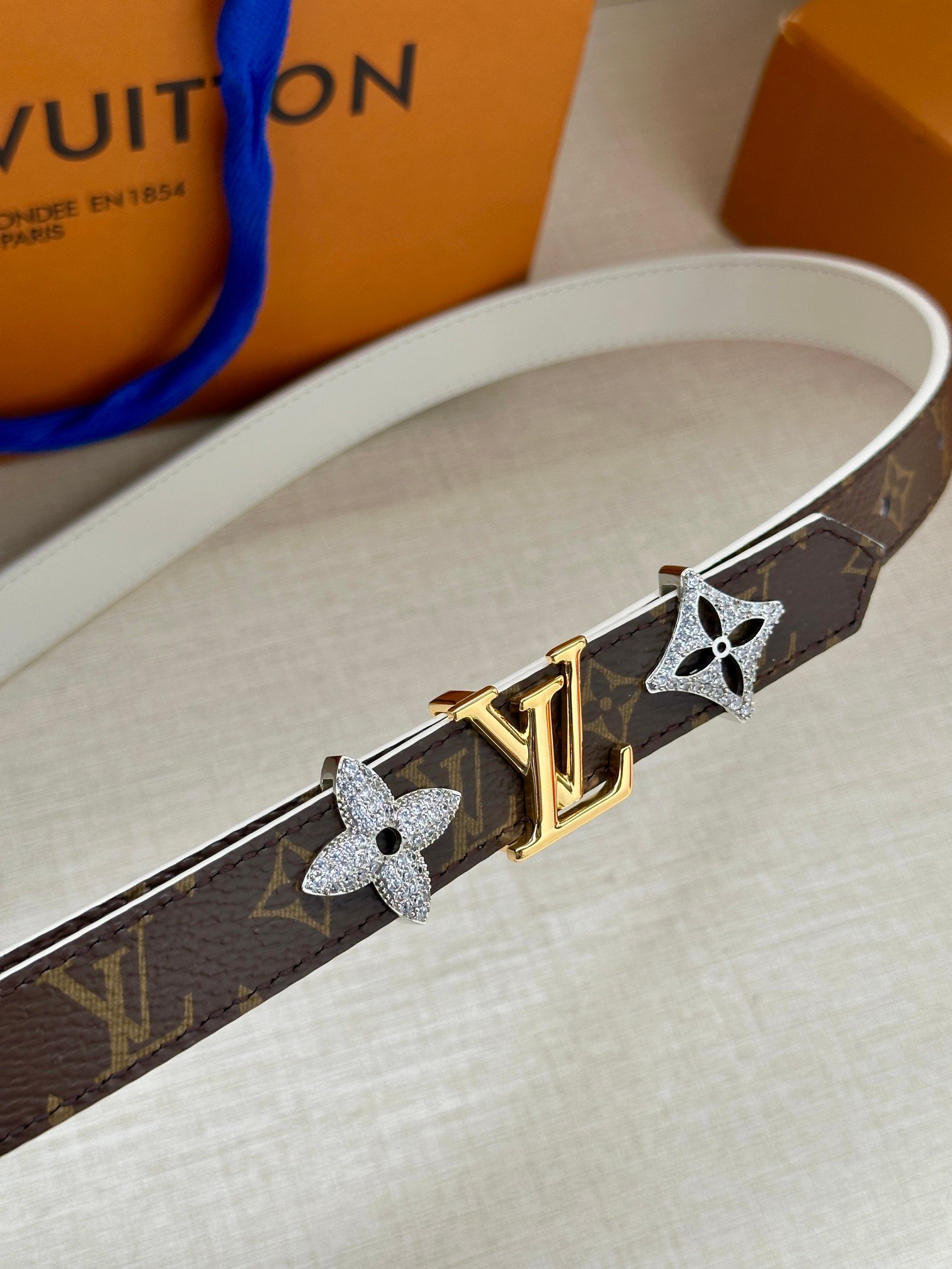 LV Belt - Image 3