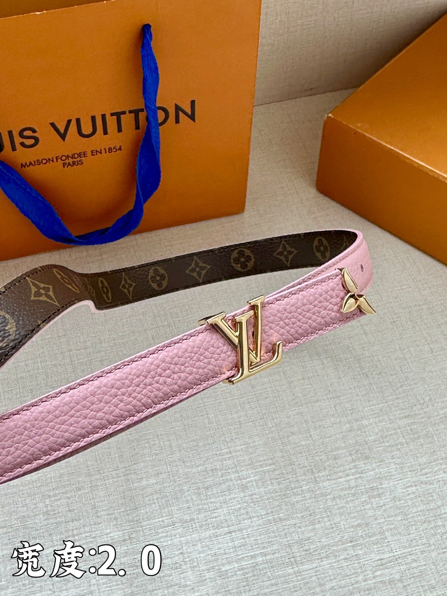 LV Belt - Image 3