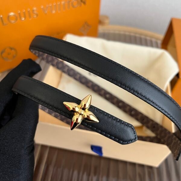 LV Belt - Image 3