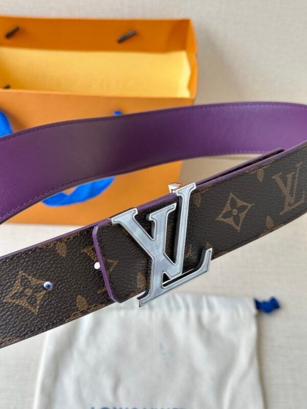 LV Belt - Image 3