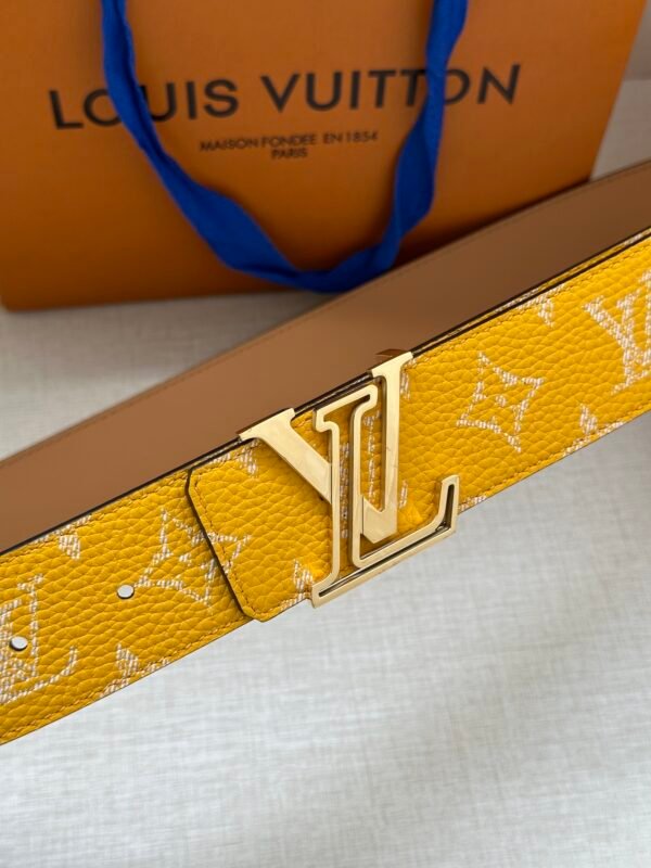 LV Belt - Image 3