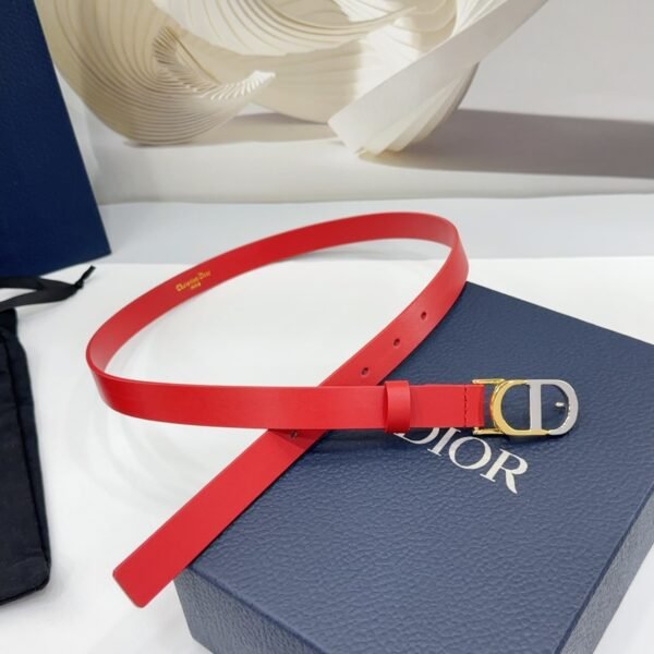 DIOR BELT - Image 4