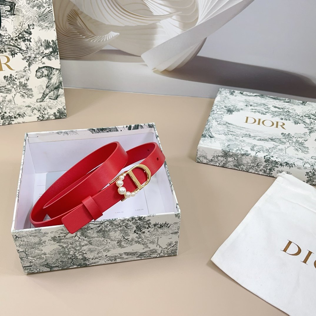 DIOR BELT - Image 6