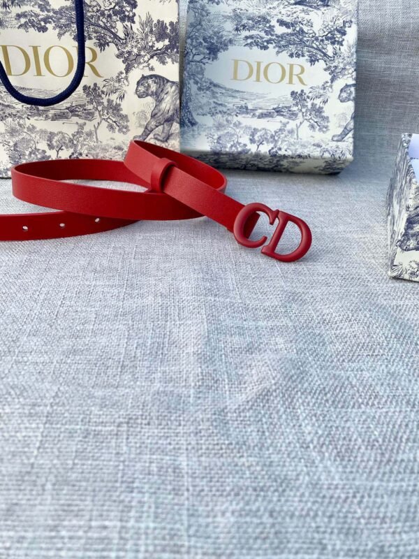 DIOR BELT - Image 6