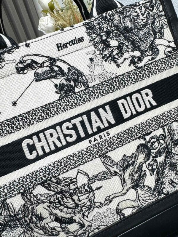 DIOR - Image 4
