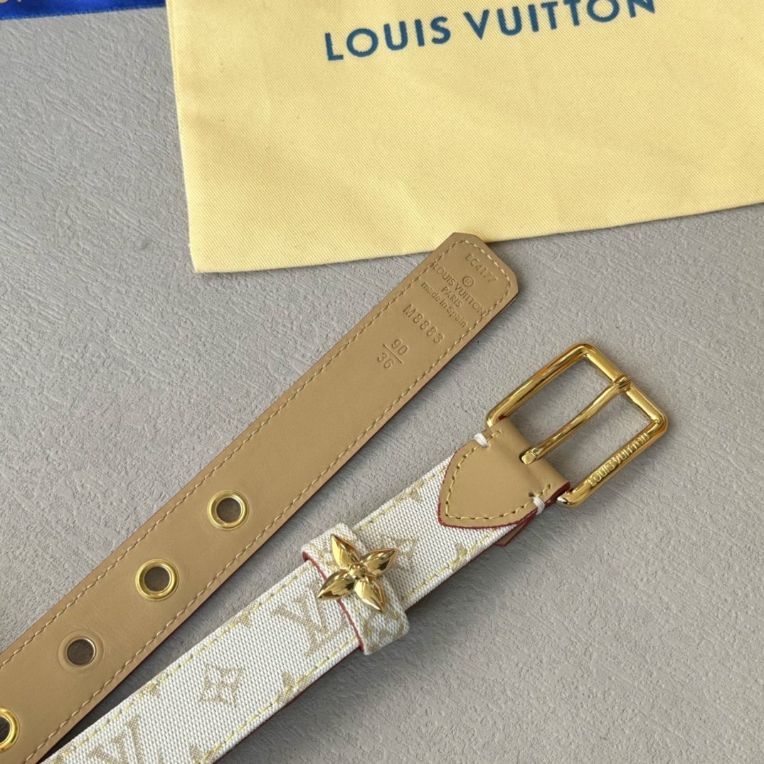 LV Belt - Image 4