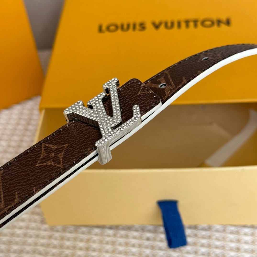 LV Belt - Image 3