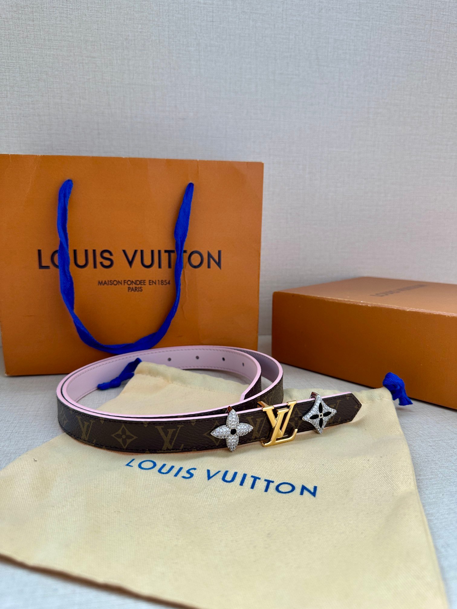 LV Belt - Image 4