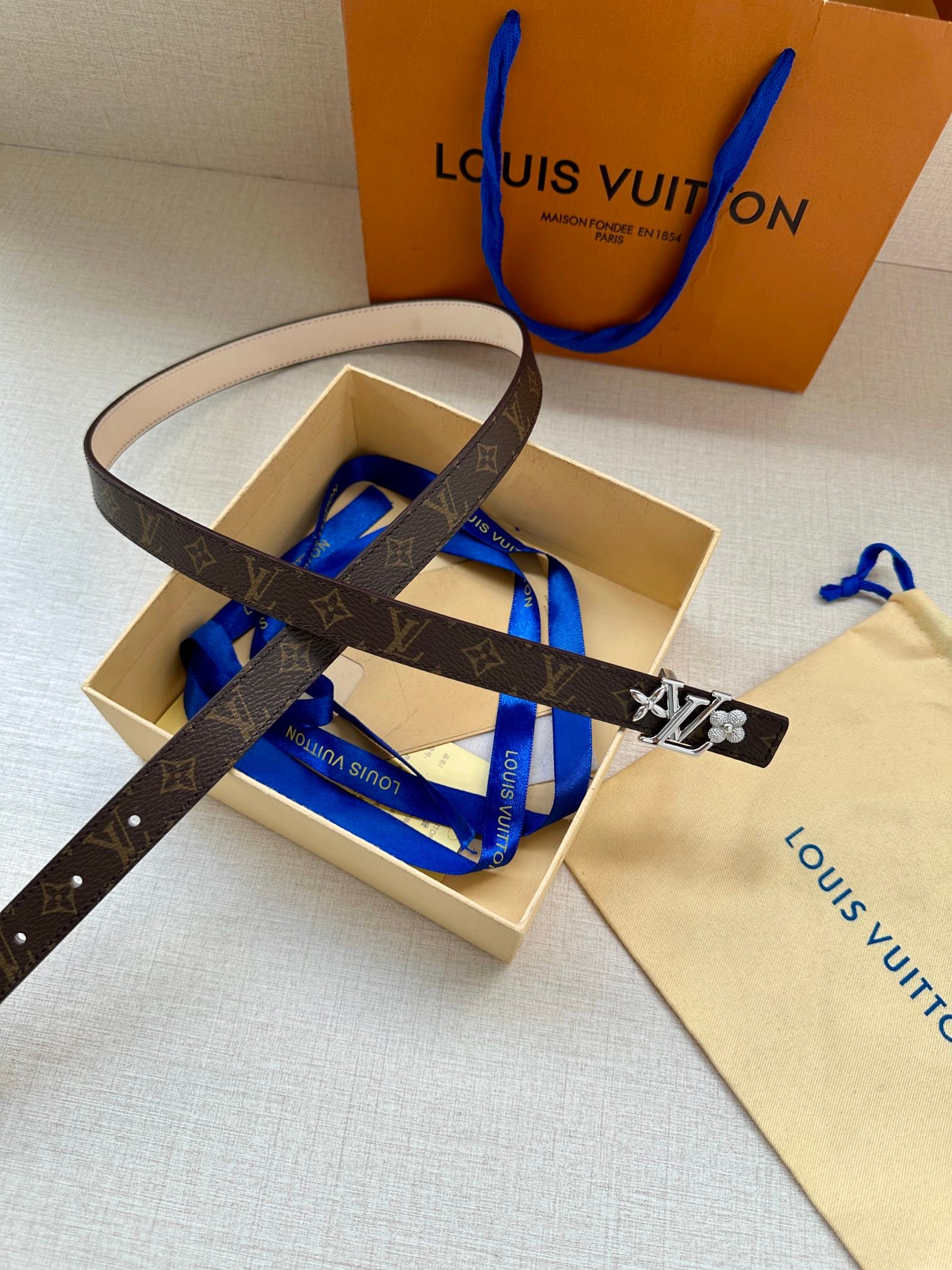 LV Belt - Image 4