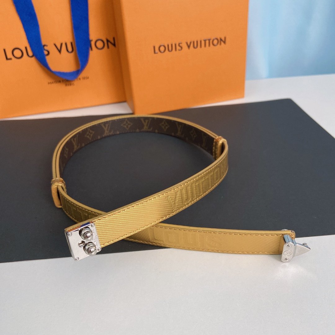 LV Belt - Image 4
