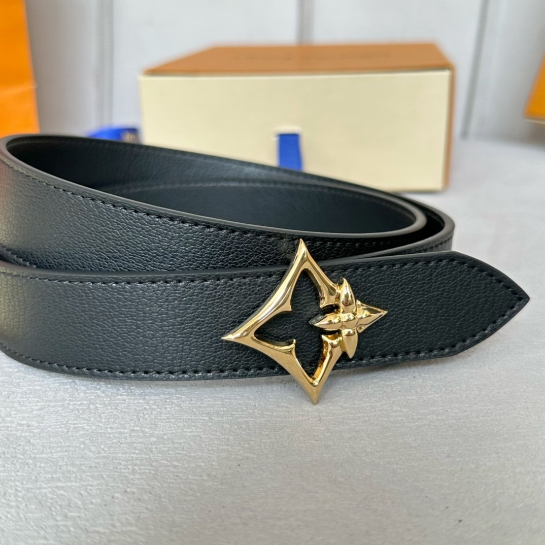 LV Belt - Image 5