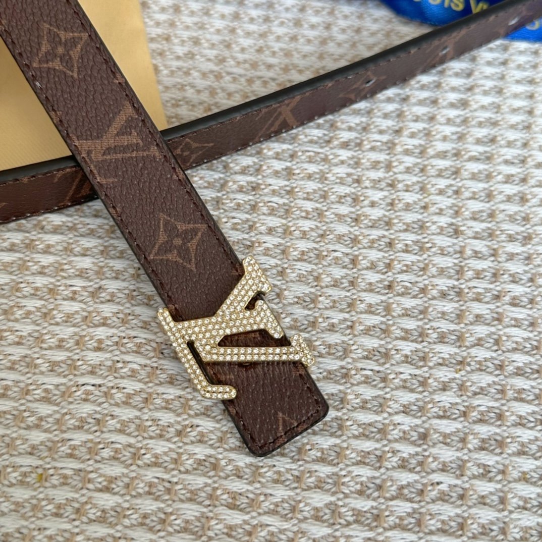 LV Belt - Image 3