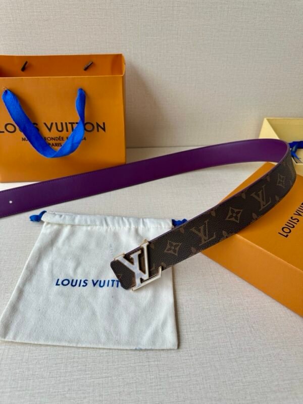 LV Belt - Image 5