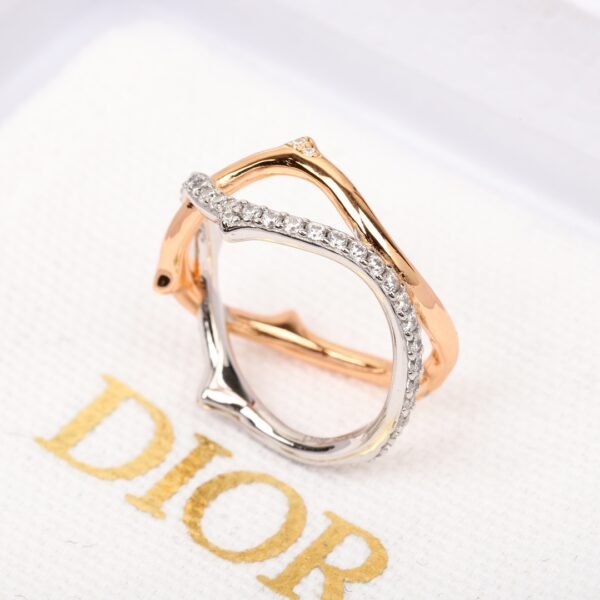 Dior - Image 6