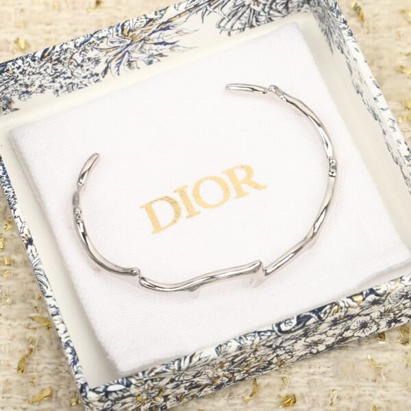 Dior - Image 6