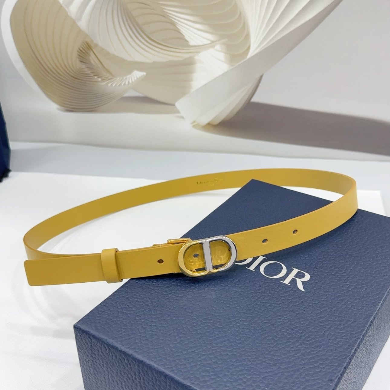 DIOR BELT - Image 4