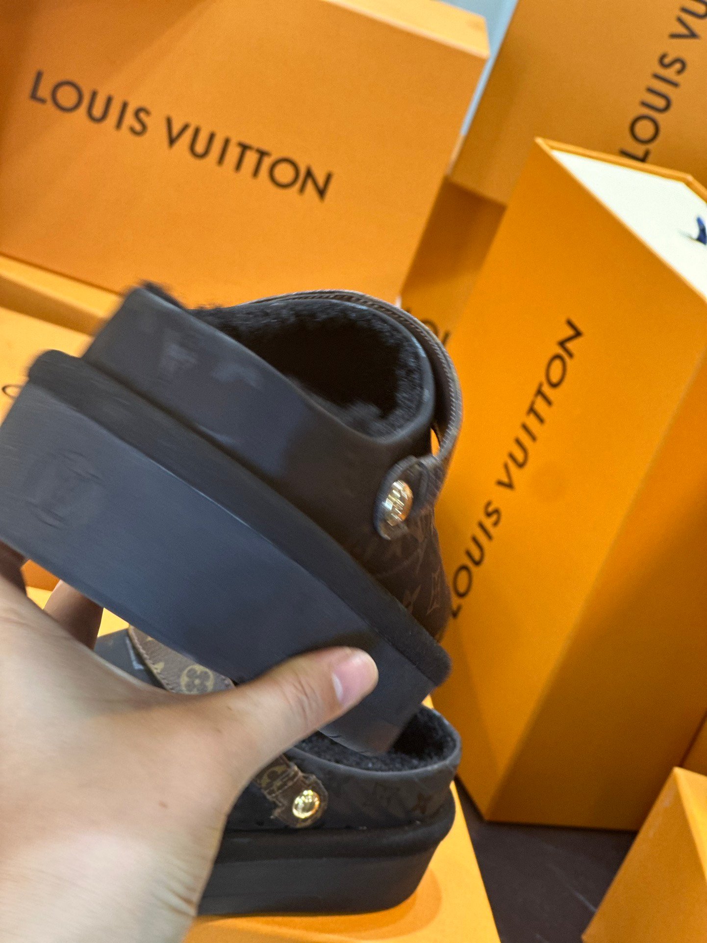 LV women - Image 7