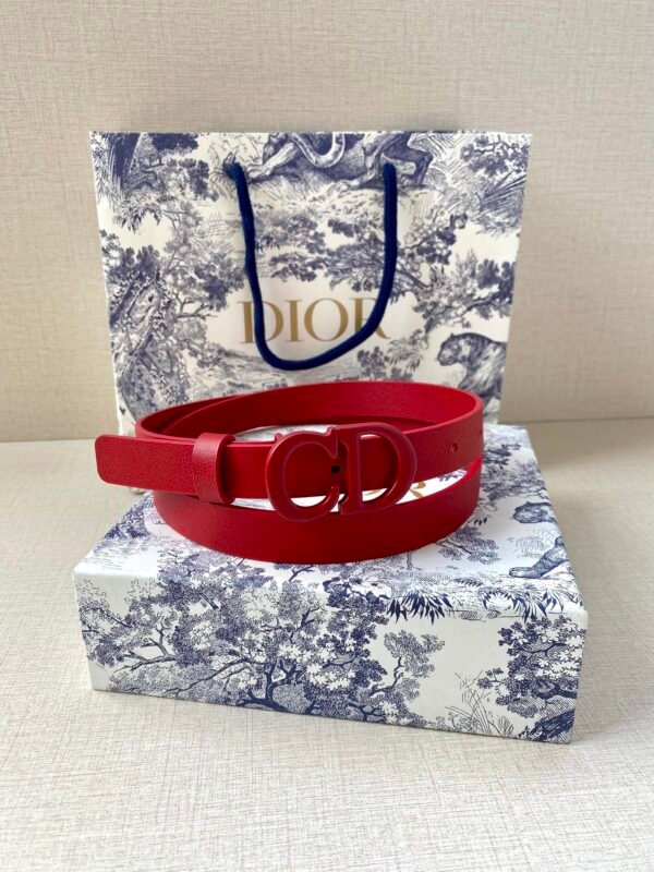 DIOR BELT - Image 4