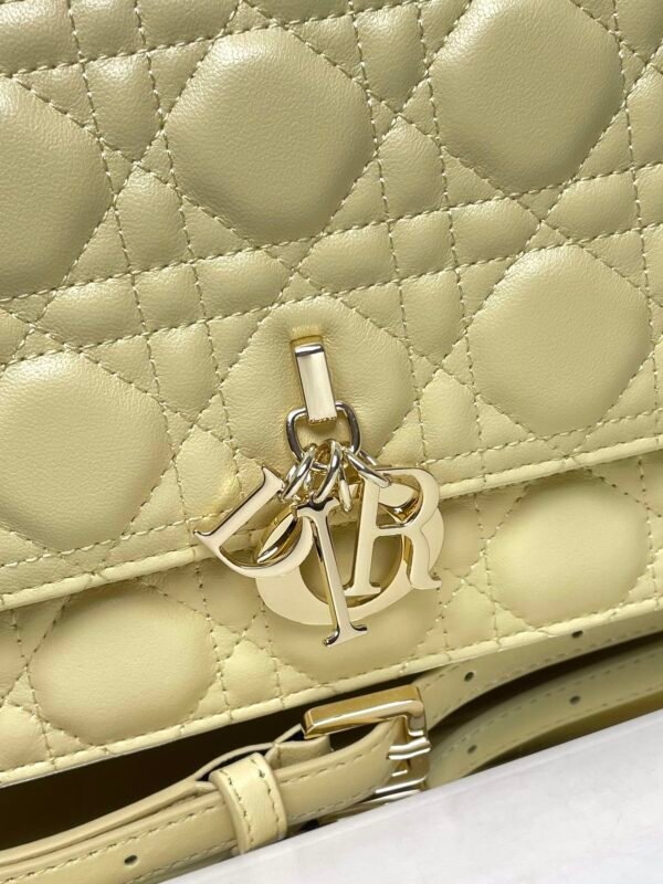 DIOR - Image 5
