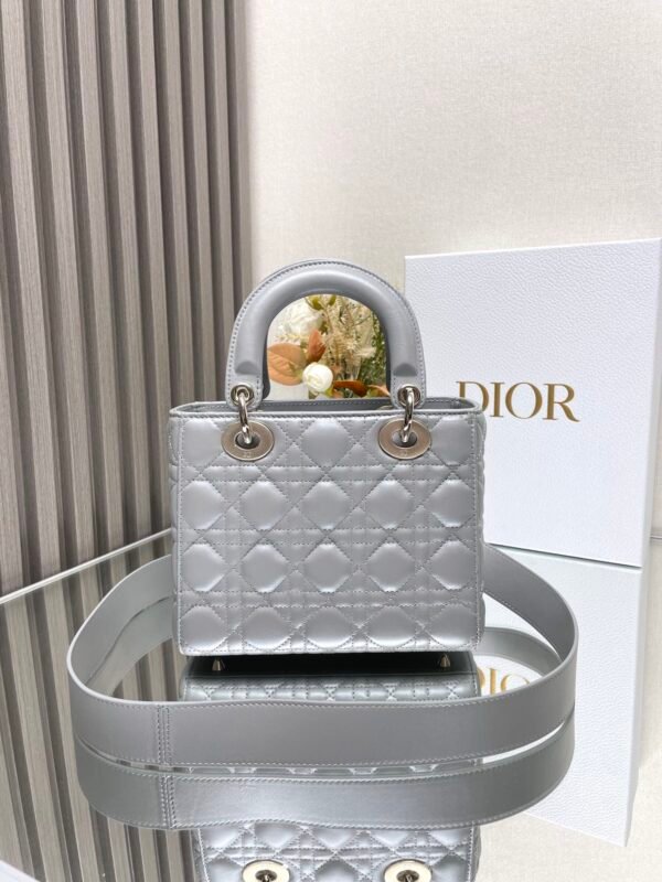 DIOR - Image 6
