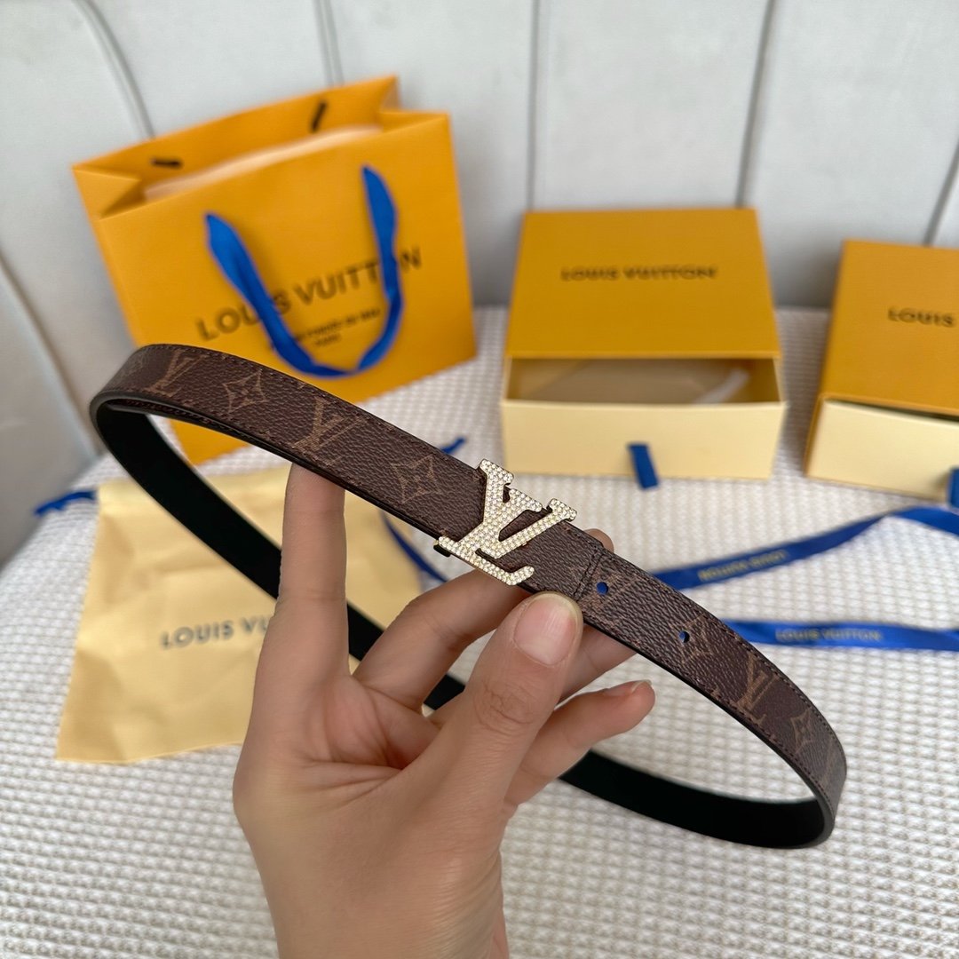 LV Belt - Image 4