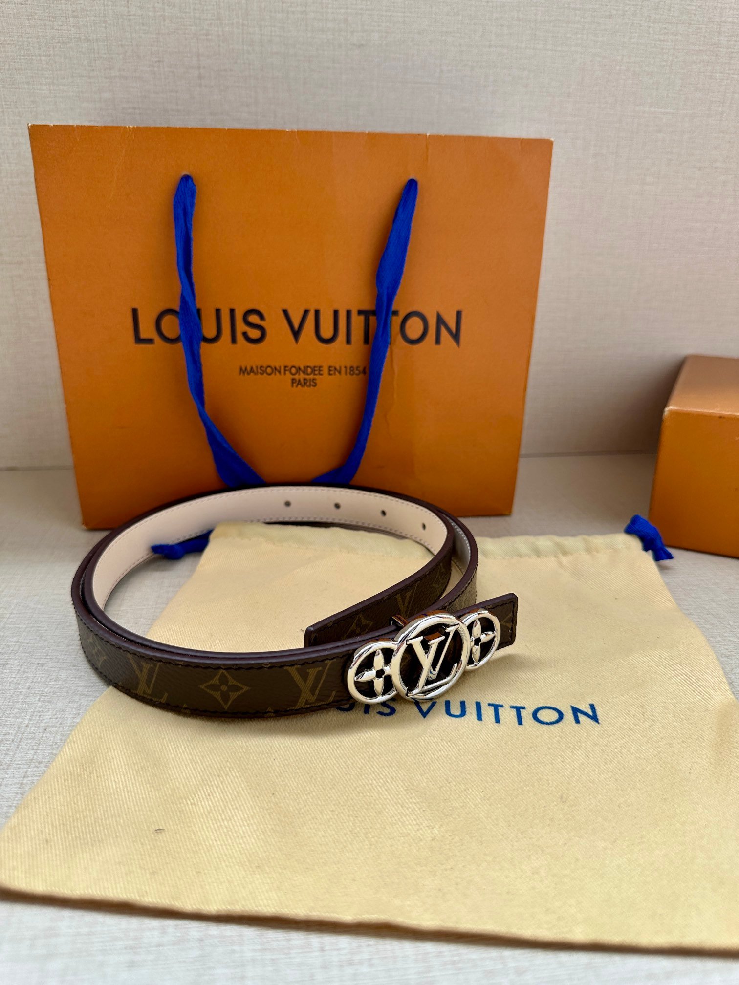 LV Belt - Image 6