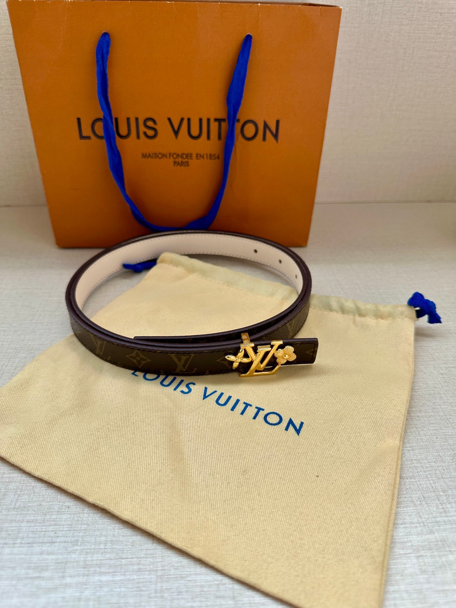LV Belt - Image 6