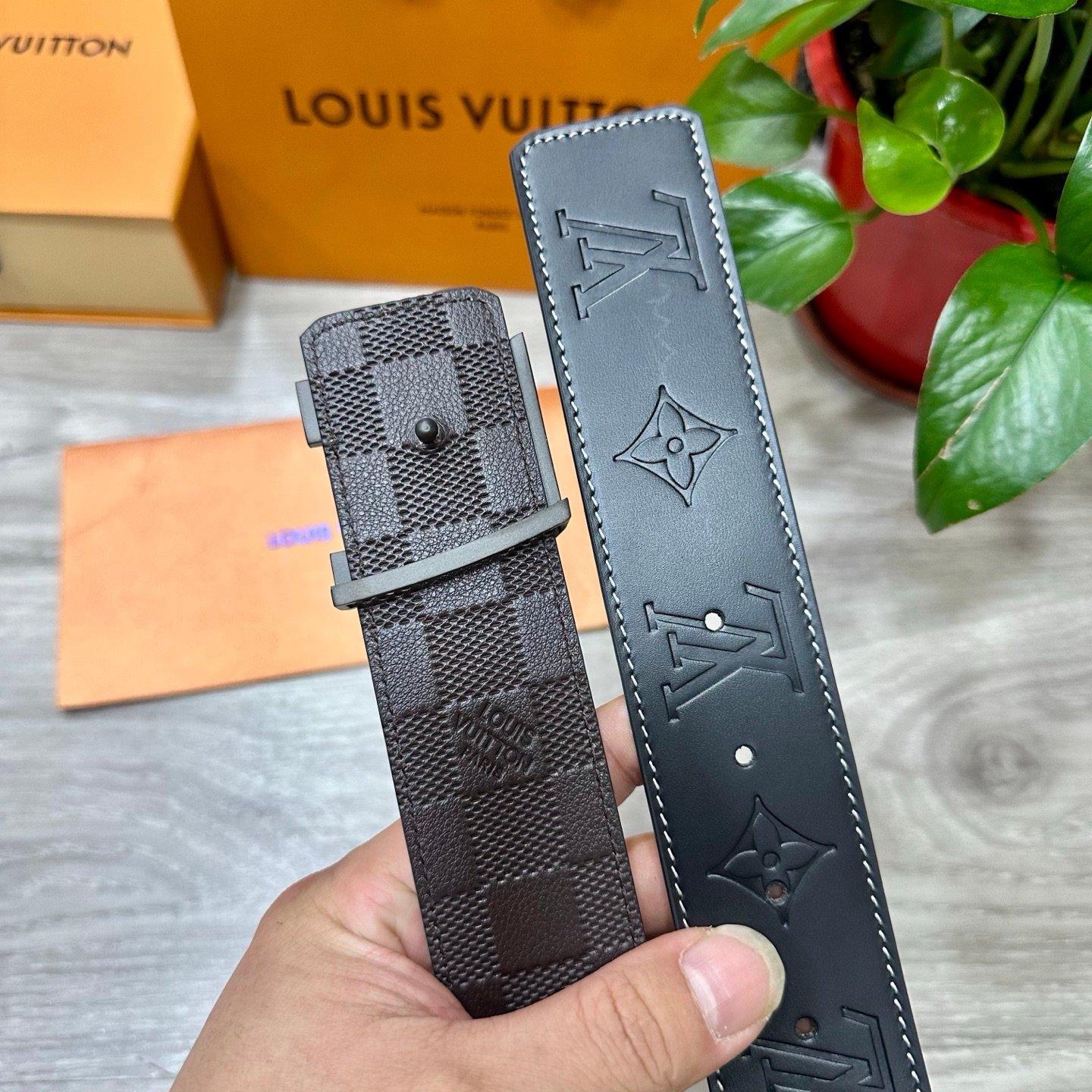 LV Belt - Image 3