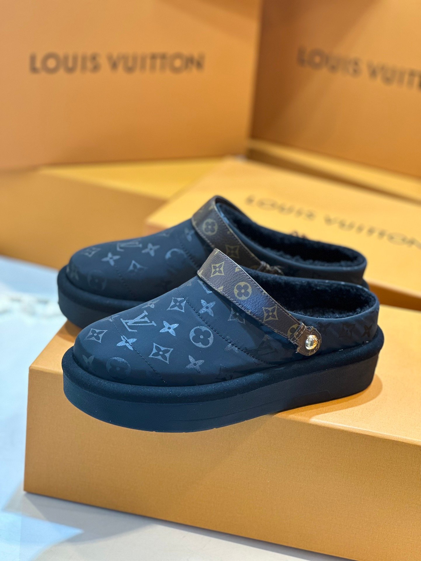 LV women - Image 2