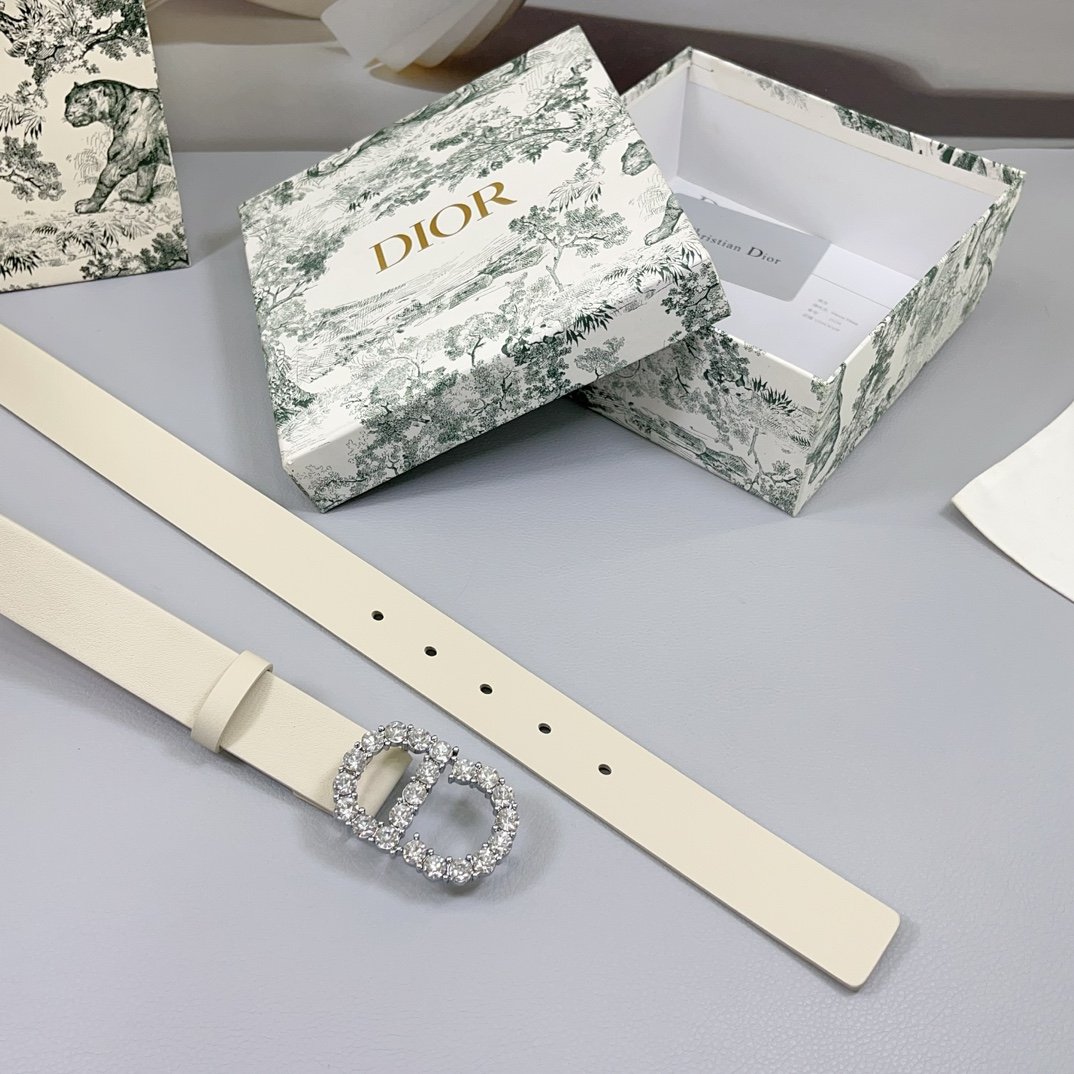 DIOR BELT - Image 7
