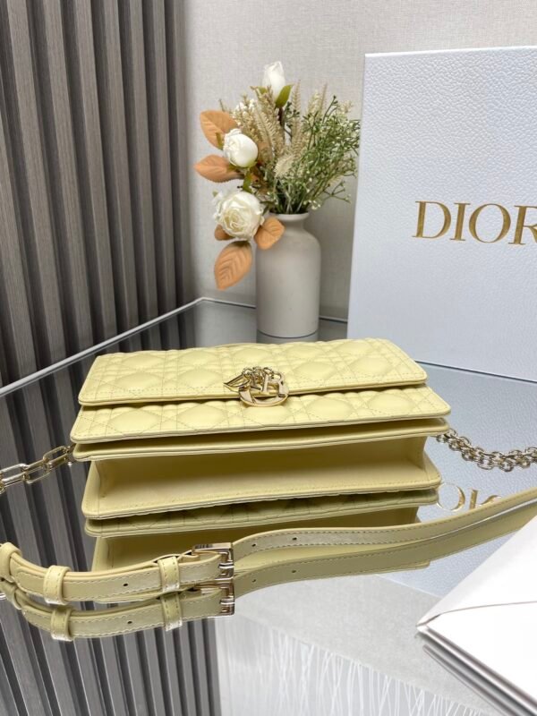 DIOR - Image 6