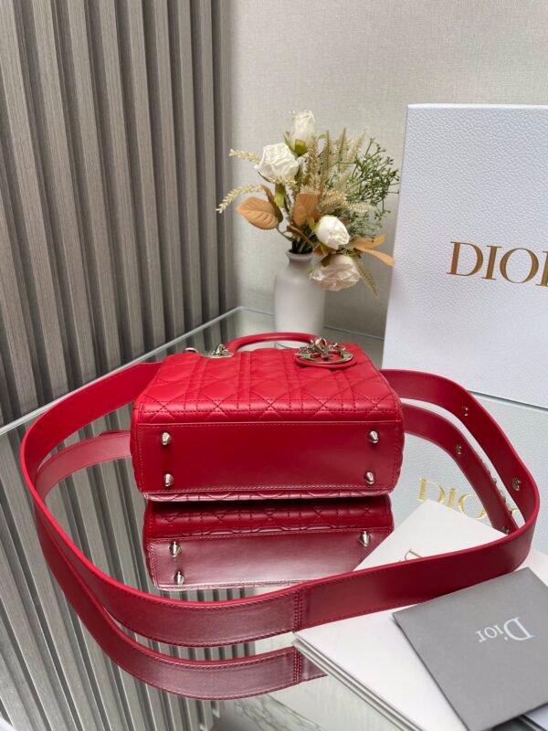 DIOR - Image 5