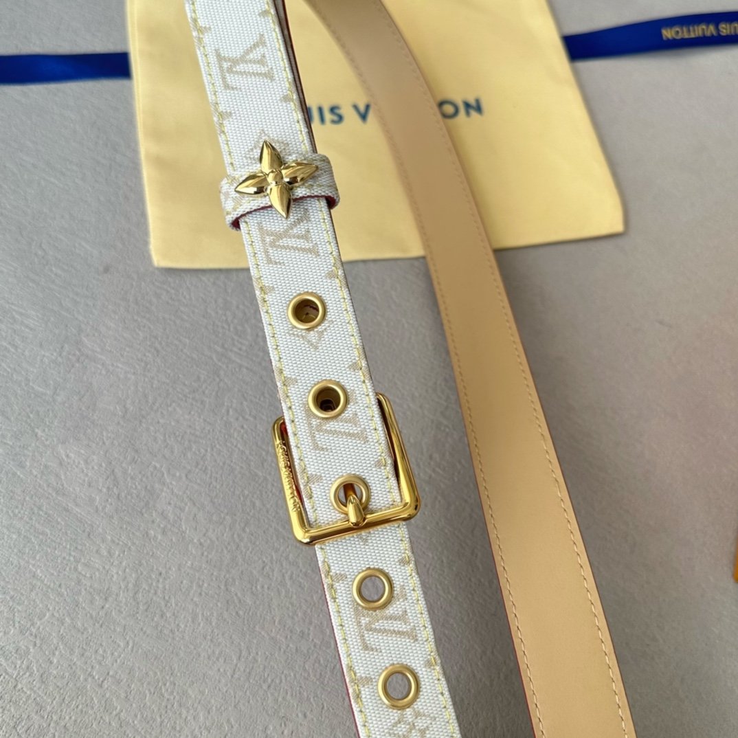 LV Belt - Image 7