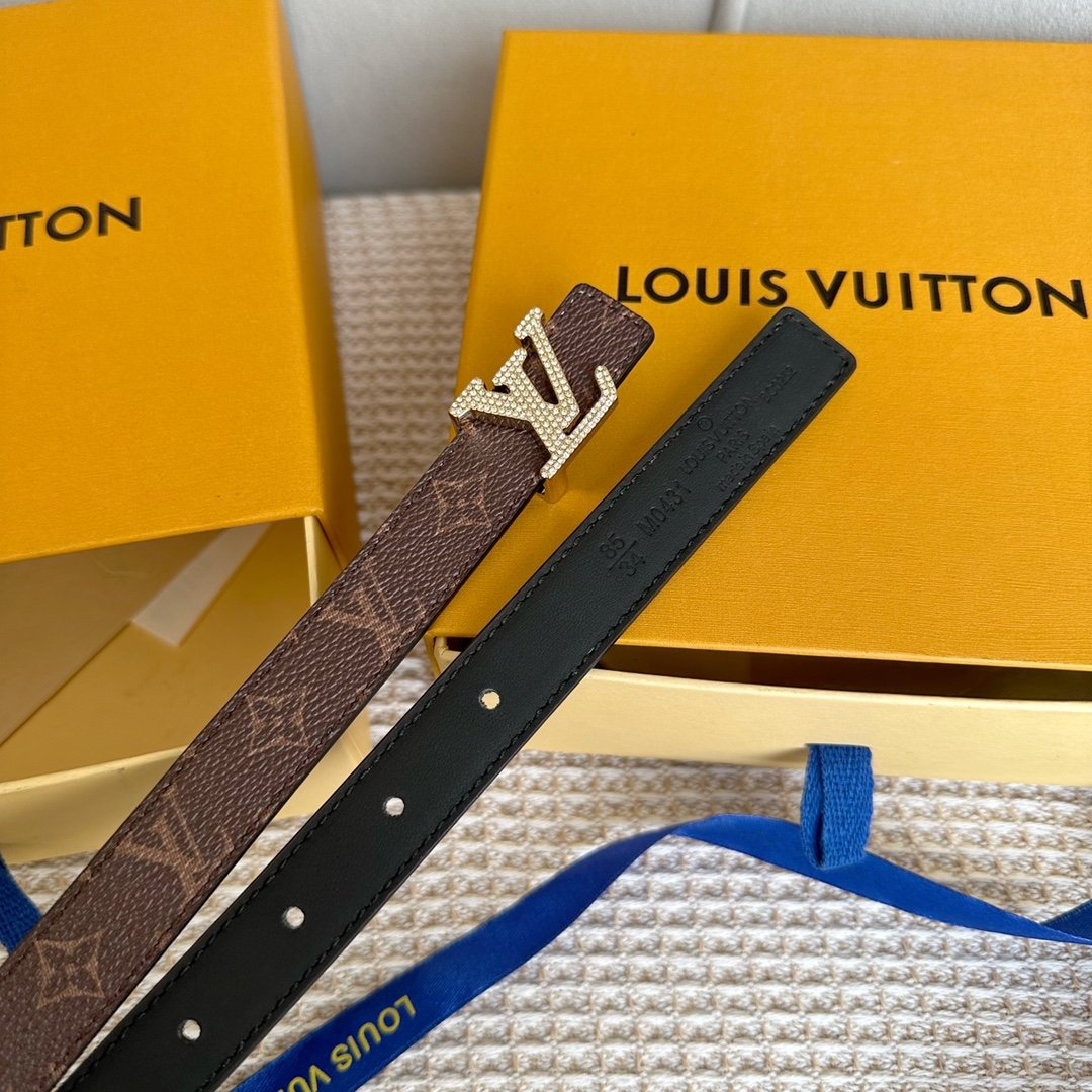 LV Belt - Image 5