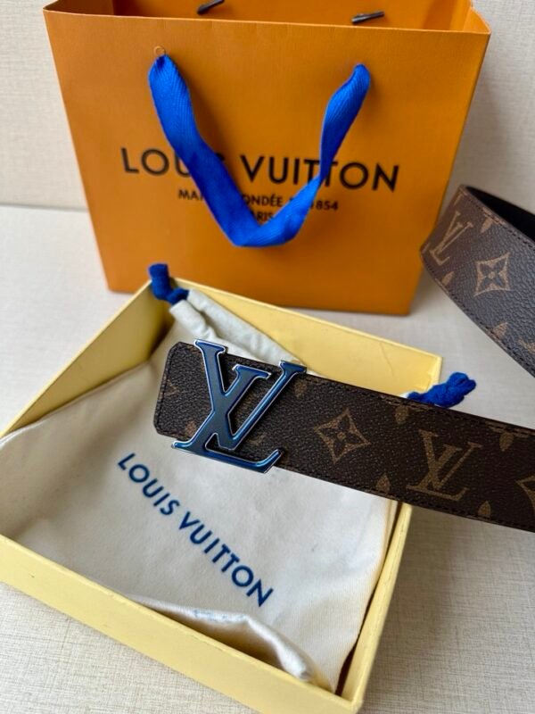 LV Belt - Image 3