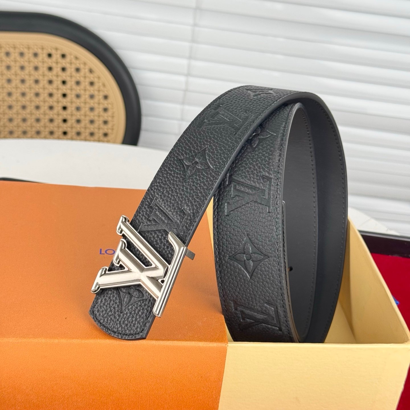 LV Belt - Image 3
