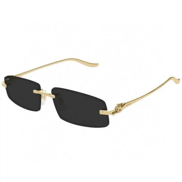 Cartier - Image 5