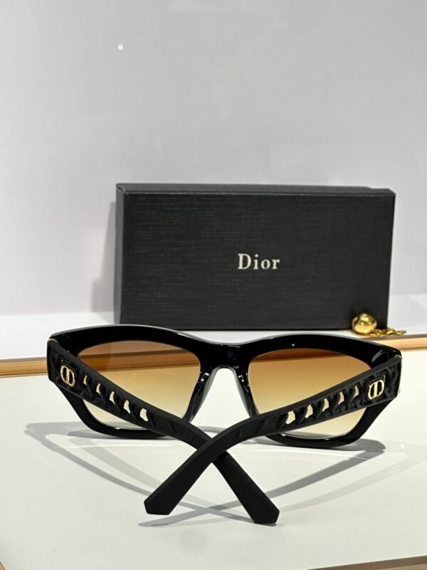 Dior - Image 10