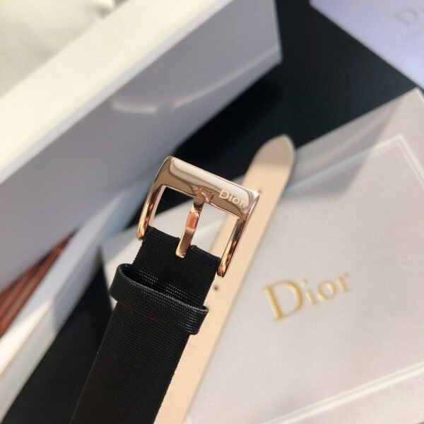 Dior - Image 10